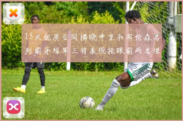 15大优质合同揭晓申京和布伦森名列前茅绿军三将表现抢眼前两名堪称传奇