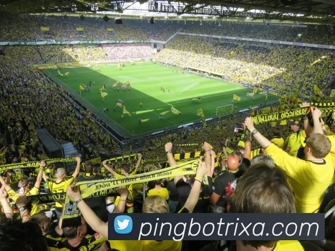 平博体育APP 封面图